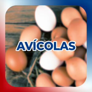 Avicolas