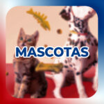 MASCOTAS