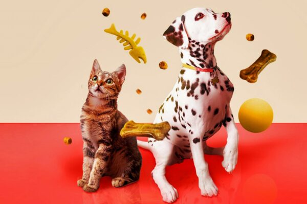 Alimento p/ Perros Gaucho 25k Cach Carne